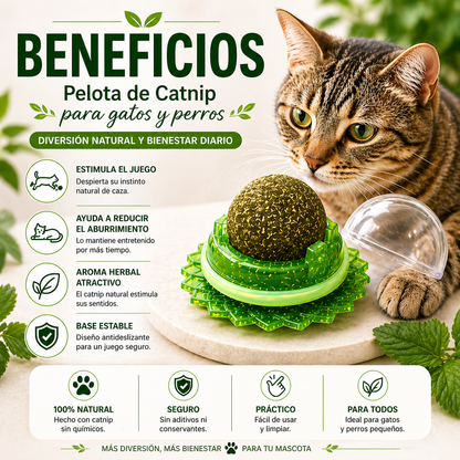 🐱🐱ULTIMAS UNIDADES🐱🐱- PELOTA CATNIP PARA GATOS- 🎁ENVIO GRATIS🎁